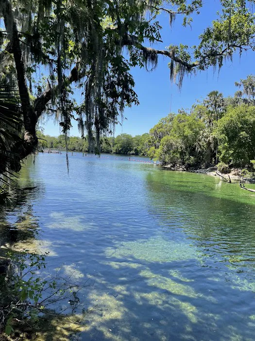 Blue Spring State Park Campground 4
