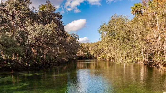 Blue Spring State Park Campground 7
