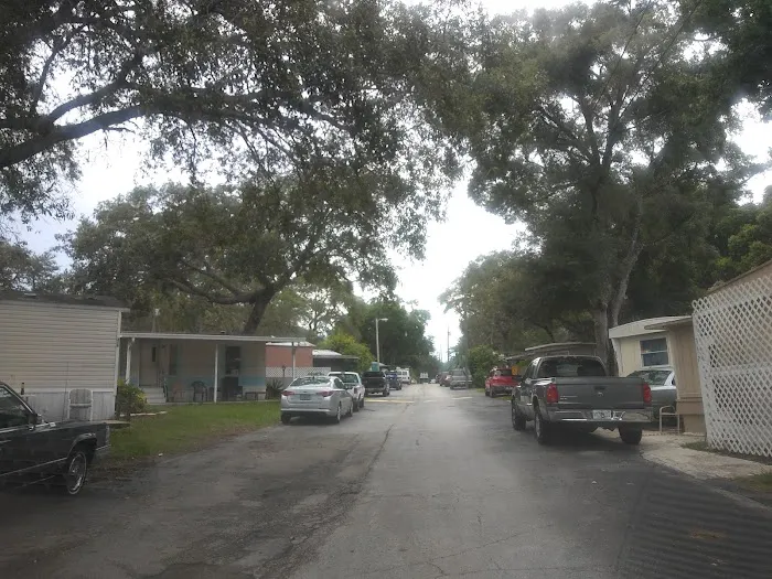 Phoenix Estates 7