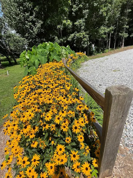 Wesley Oaks RV park 3