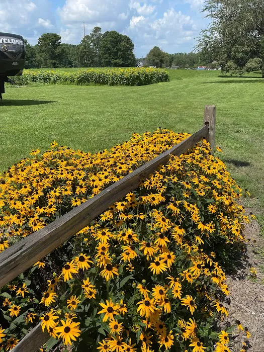 Wesley Oaks RV park 1