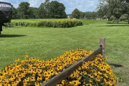 Wesley Oaks RV park