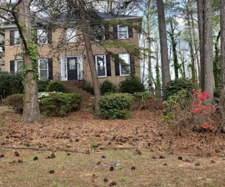 Jardineru00eda Landscaping