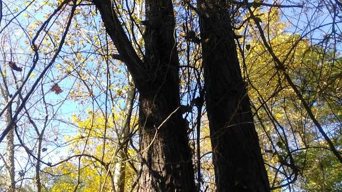 Arbor Mill Mobile Home Park 6