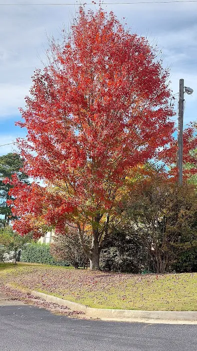 Happy Valley Mobile Home Park 5