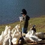 Ansley Park Of Commerce