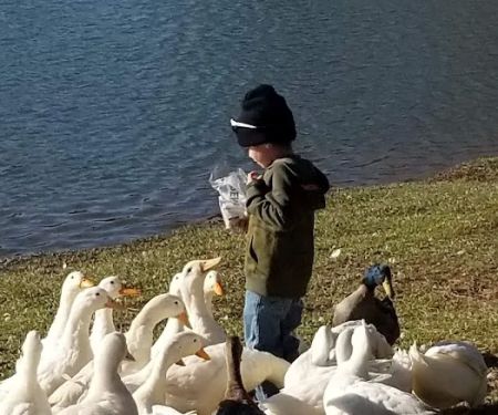 Ansley Park Of Commerce