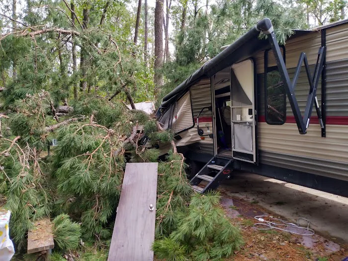 Petersburg Campground 1