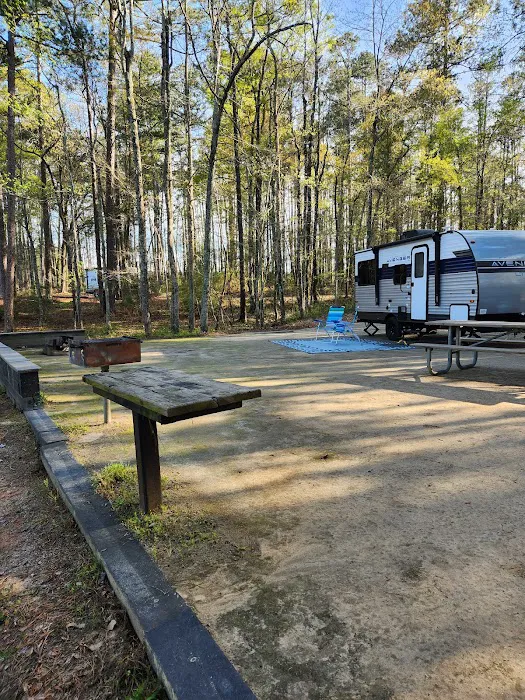 Petersburg Campground 6