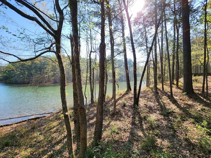 Petersburg Campground 10