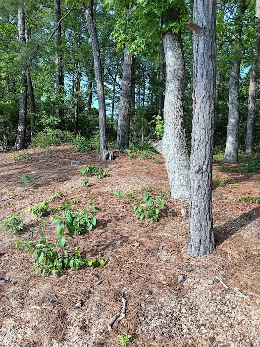 Ridge Road Campground 8