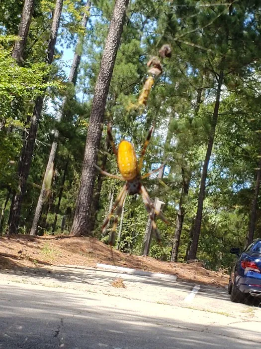 LAKE SPRINGS 4