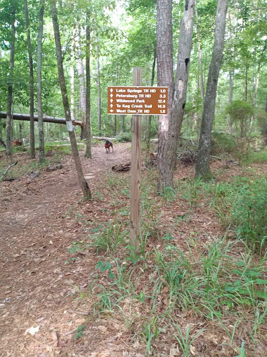 LAKE SPRINGS 9