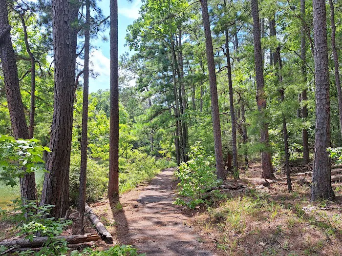 LAKE SPRINGS 7