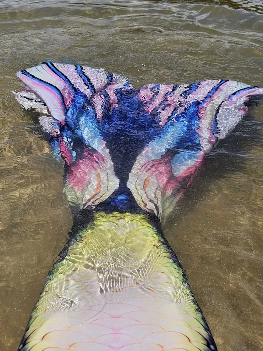 LAKE SPRINGS 8