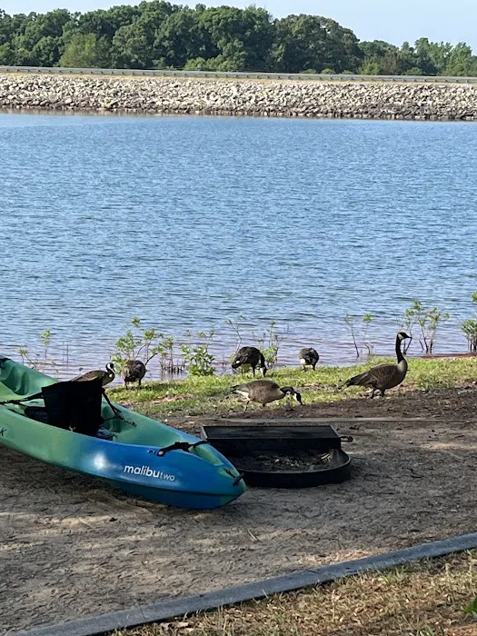 Watsadler Campground 4