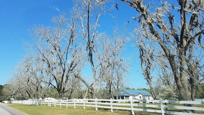 Stoney Crest Plantation Campground 4