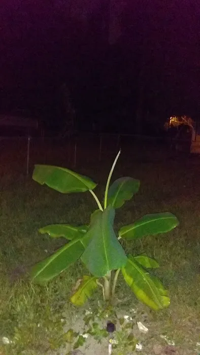 Breezy Acres Estates 1