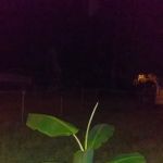 Breezy Acres Estates