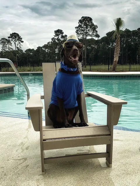 Hilton Head National RV Resort 5