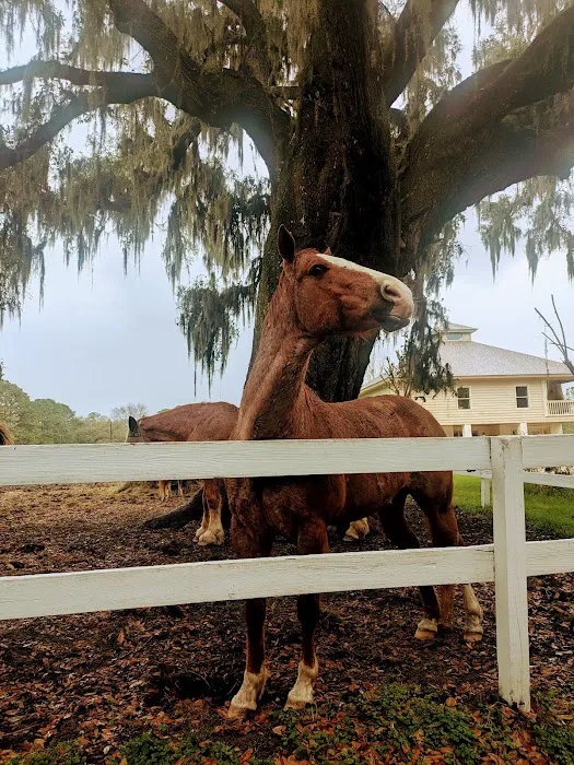 Red Gate Farms 2