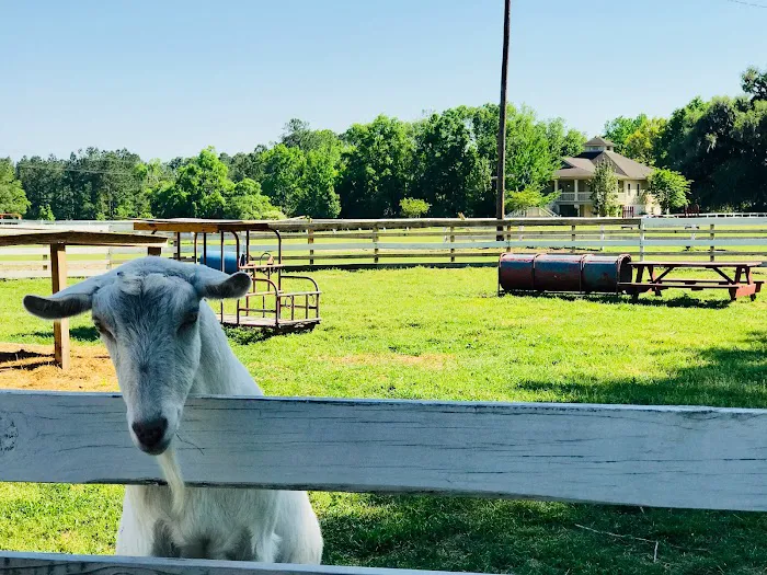 Red Gate Farms - RV Resort 7