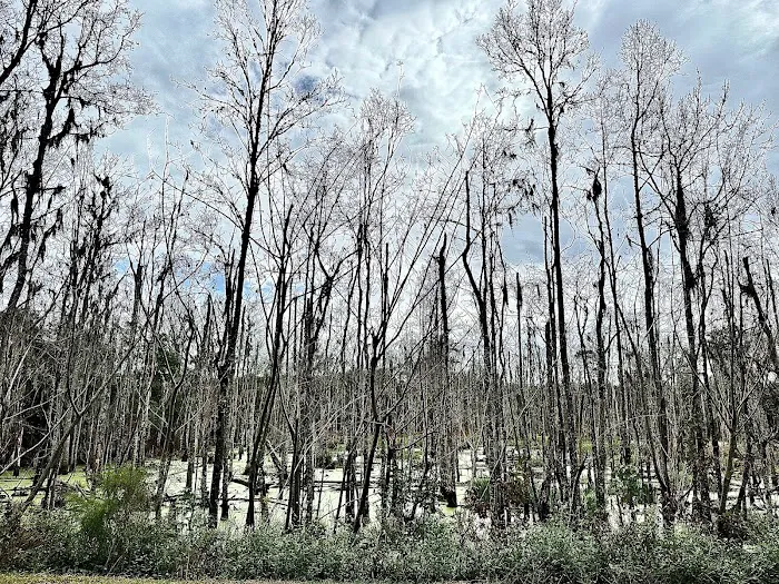 Creek fire 1