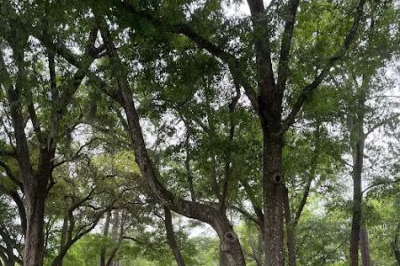 Spacious Skies Campgrounds - Savannah Oaks