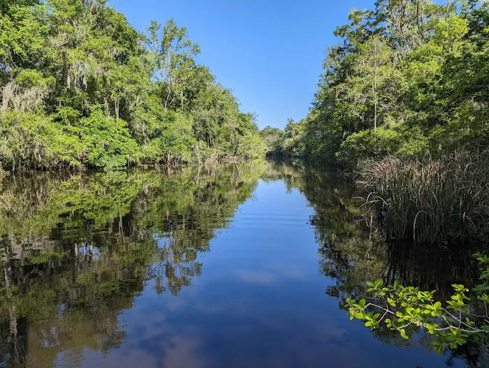 Spacious Skies Campgrounds - Savannah Oaks 6