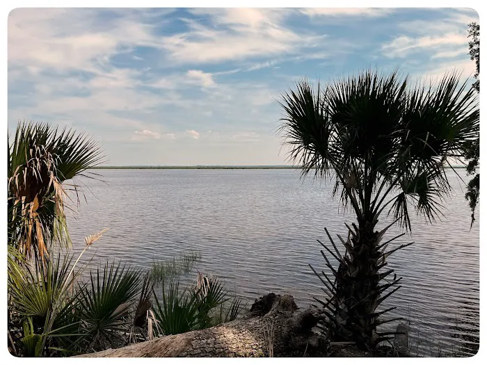 Fort McAllister Campground 5