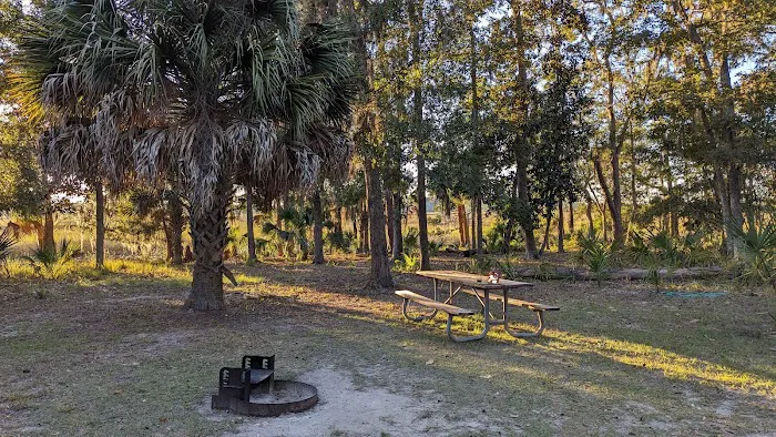 Fort McAllister Campground 4