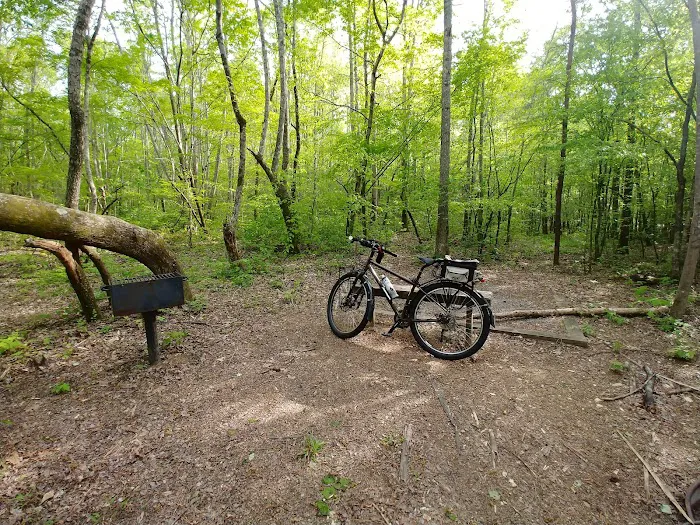 Camp Comet 3