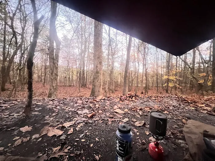 Camp Comet 7
