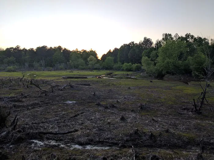 Camp Comet 10