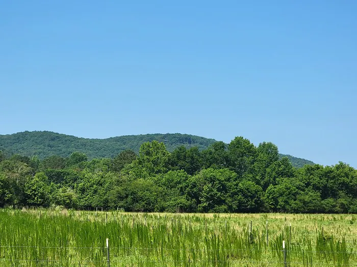 The Beautiful Rock Campground, RV, and Music Park 4