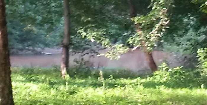Cane Creek RV Park 10
