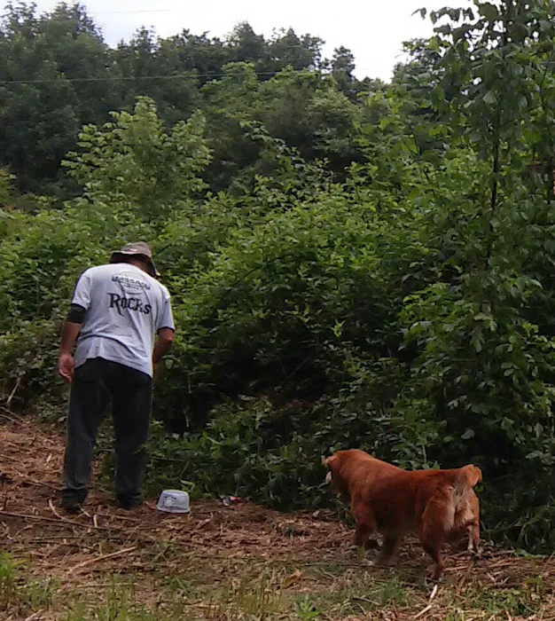 Cane Creek RV Park 8