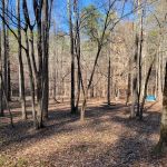 Pine Glen Campground