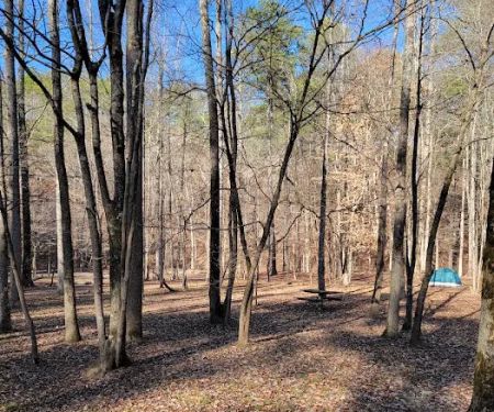 Pine Glen Campground