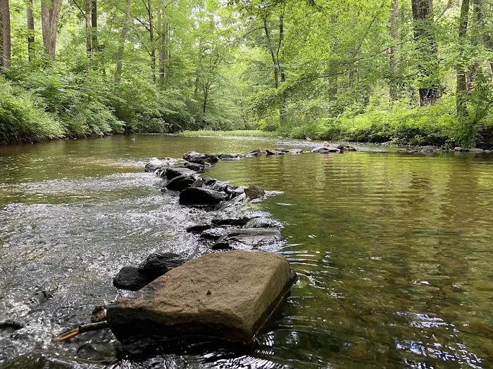 Pine Glen Campground 2