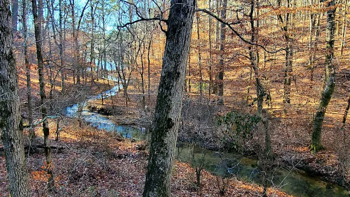 Pine Glen Campground 4