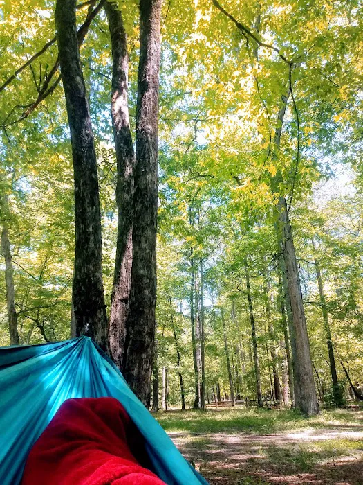 Pine Glen Campground 6
