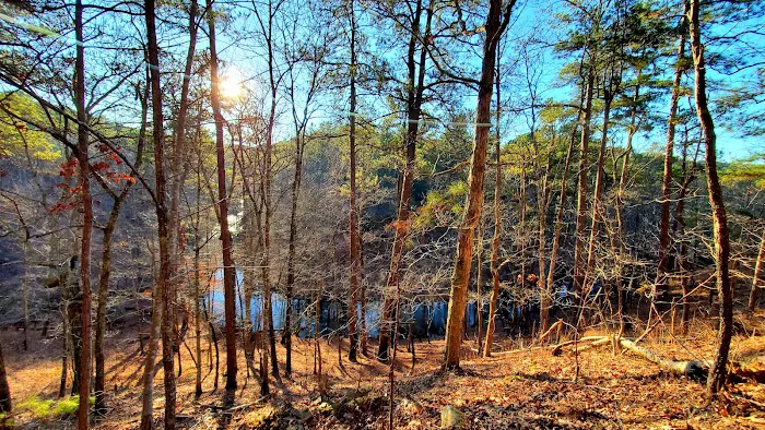 Pine Glen Campground 7