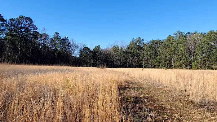 Pine Glen Campground 8