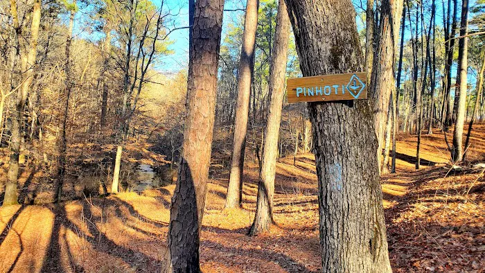 Pine Glen Campground 10