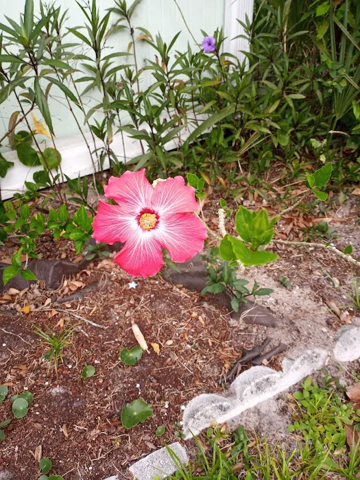 Holiday Village - Ormond Beach 10