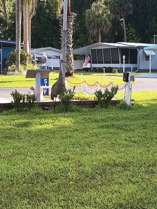 Corley Island Mobile Manor 5