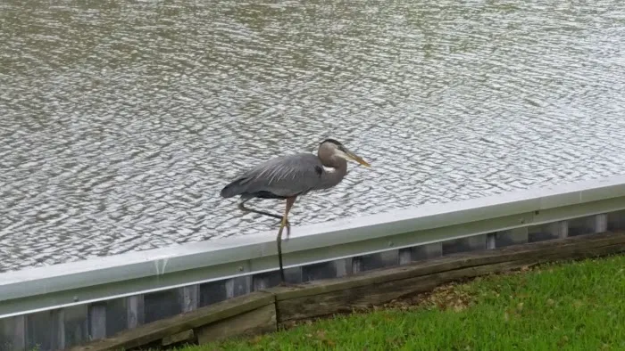 Cypress Creek Mobile Home Park 4