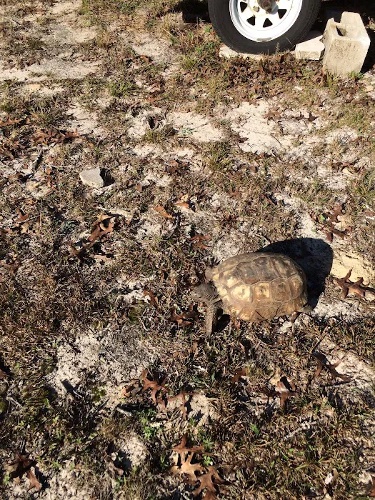 Ridge Manor Campground 2