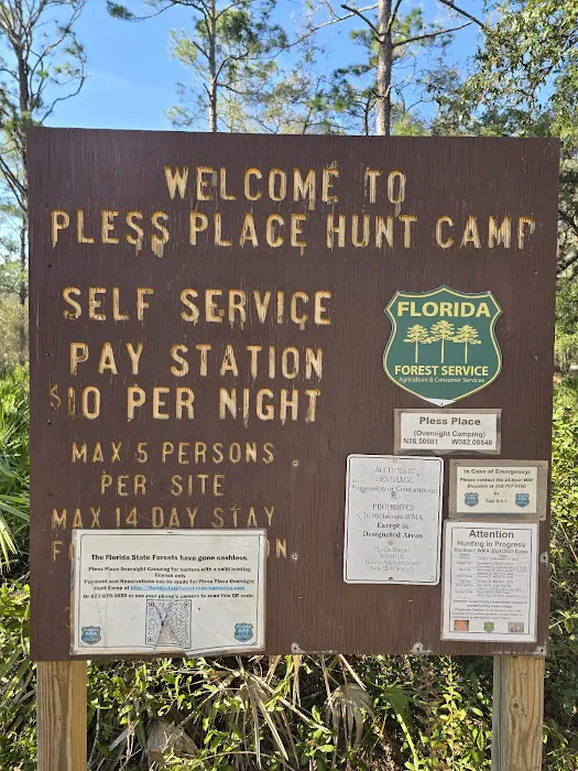 Pless Place Camp 9